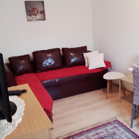 Apartman Milica Požarevac エクステリア 写真