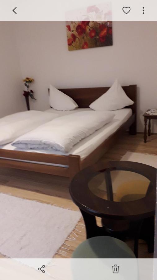 Apartman Milica Požarevac エクステリア 写真
