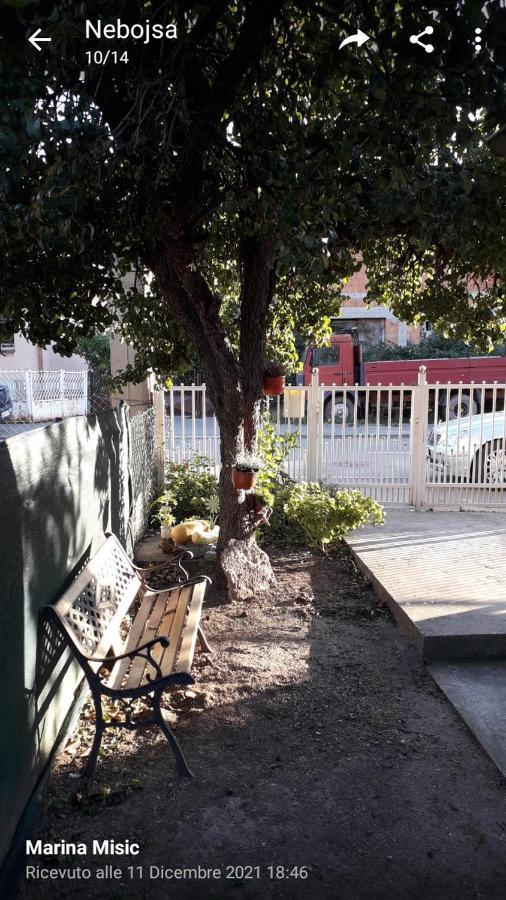 Apartman Milica Požarevac エクステリア 写真