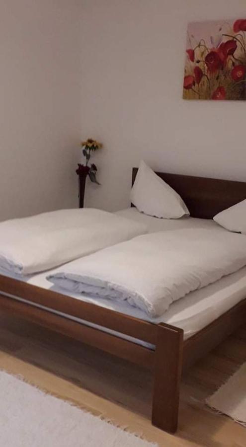 Apartman Milica Požarevac エクステリア 写真
