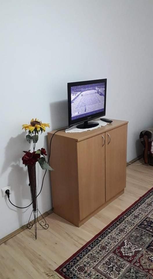 Apartman Milica Požarevac エクステリア 写真