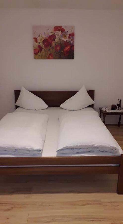 Apartman Milica Požarevac エクステリア 写真