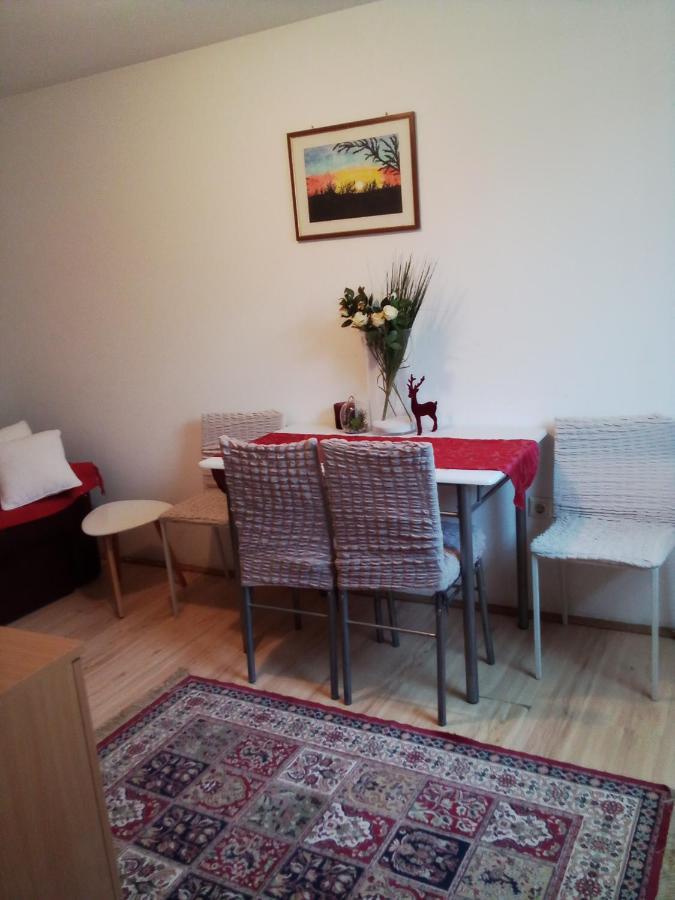 Apartman Milica Požarevac エクステリア 写真