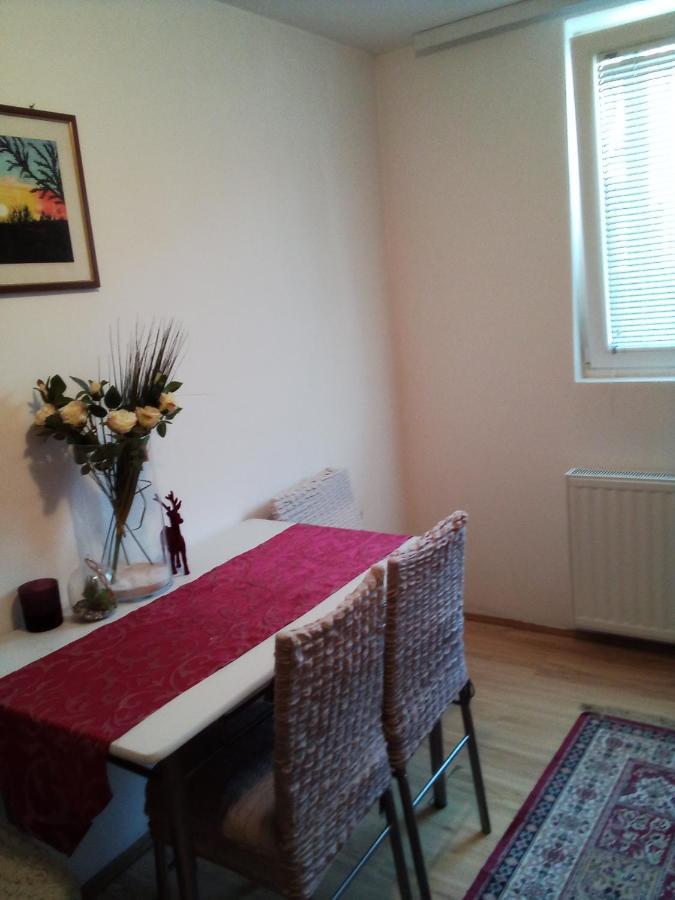 Apartman Milica Požarevac エクステリア 写真
