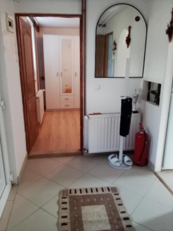 Apartman Milica Požarevac エクステリア 写真