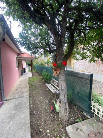Apartman Milica Požarevac エクステリア 写真