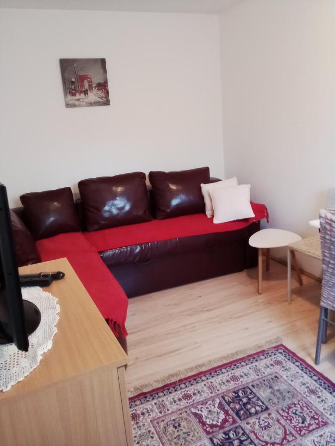 Apartman Milica Požarevac エクステリア 写真